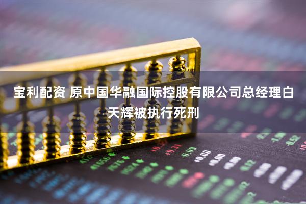 宝利配资 原中国华融国际控股有限公司总经理白天辉被执行死刑