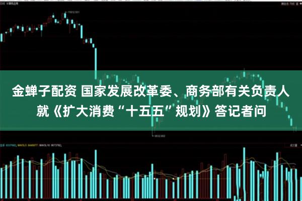 金蝉子配资 国家发展改革委、商务部有关负责人就《扩大消费“十五五”规划》答记者问